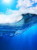 E-005 Синяя волна 200х270 Море - Океан