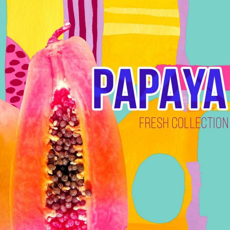 Обложка Papaya Erismann