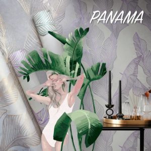 Обложка Panama Victoria Stenova